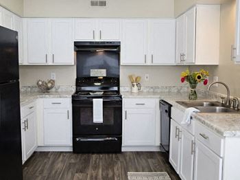 Kitchen stove and cabinets